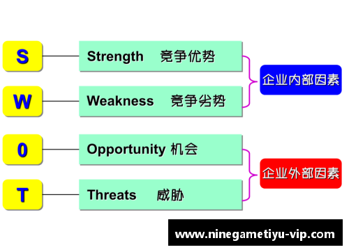 冰岛球员角色分析及职责概述