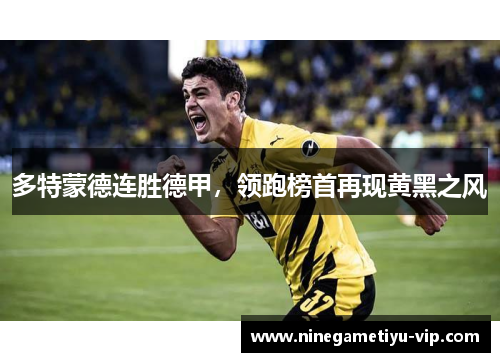 多特蒙德连胜德甲，领跑榜首再现黄黑之风