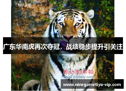 广东华南虎再次夺冠，战绩稳步提升引关注